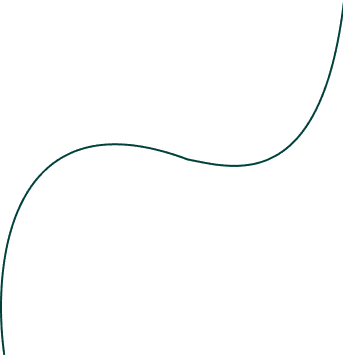 shape